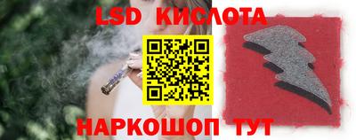 прущие грибы Обь