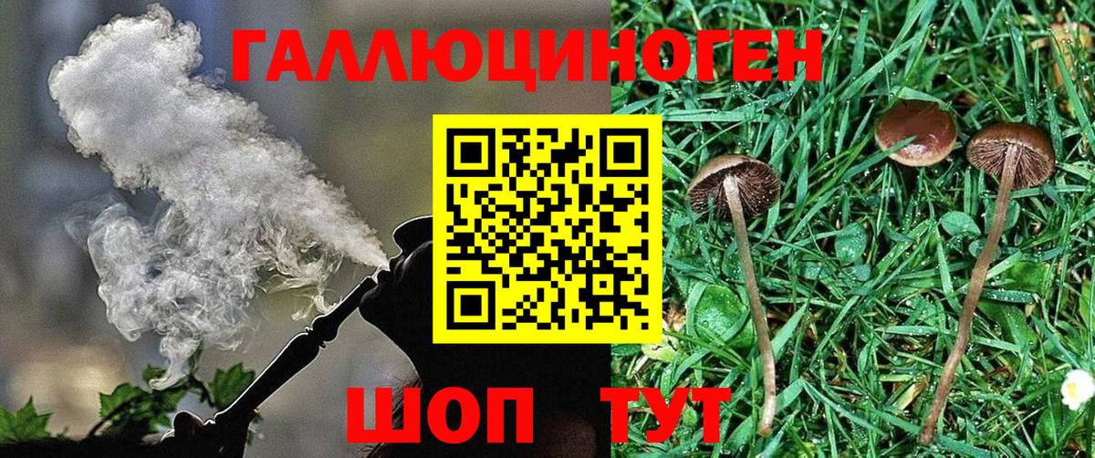 Ульяновск  Галлюциногенные грибы мухоморы  Вход с VPN 